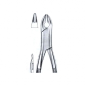 Extracting Forceps American Pattern